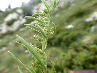 Img.VTax1775.Ex1.Img1
