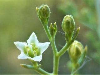 Img.VTax1778.Ex1.Img3