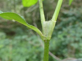 Img.VTax1812.Ex1.Img7