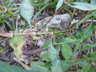 Img.VTax1816.Ex1.Img3