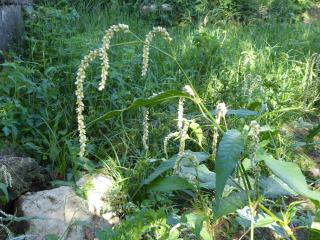 Img.VTax1816.Ex1.Img7