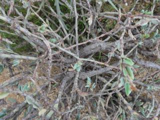 Img.VTax1821.Ex1.Img1