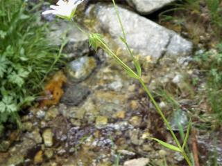 Img.VTax1908.Ex2.Img4