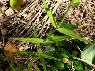 Img.VTax1908.Ex3.Img5