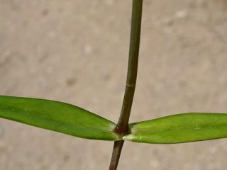 Img.VTax1908.Ex3.Img6