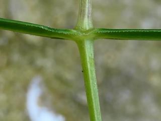 Img.VTax1908.Ex3.Img7