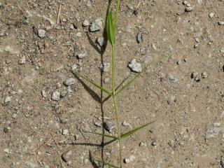 Img.VTax1908.Ex3.Img8