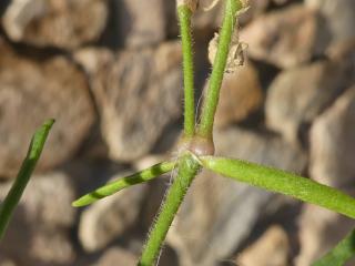 Img.VTax1977.Ex1.Img8
