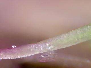Img.VTax1988.Ex2.Img4