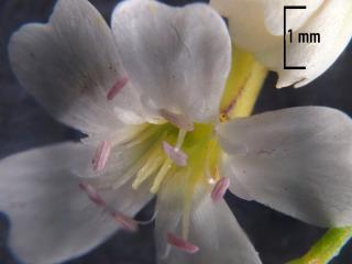 Img.VTax2004.Ex3.Img3