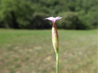 Img.VTax2039.Ex3.Img1