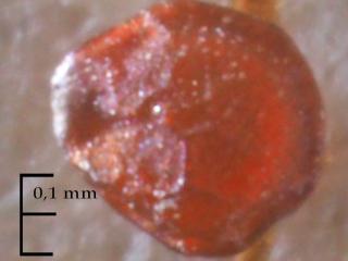 Img.VTax2066.Ex1.Img1