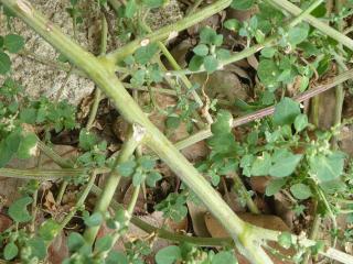 Img.VTax2070.Ex1.Img5