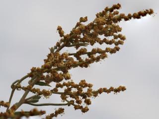 Img.VTax2080.Ex3.Img6