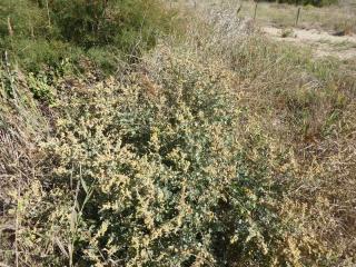 Img.VTax2081.Ex3.Img1