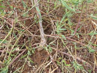 Img.VTax2088.Ex2.Img5