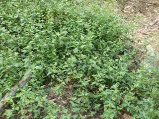 Img.VTax2089.Ex2.Img1