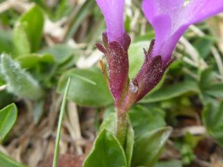 Img.VTax2163.Ex1.Img3