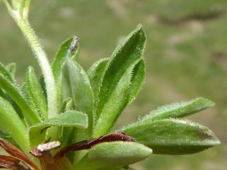 Img.VTax2163.Ex1.Img6