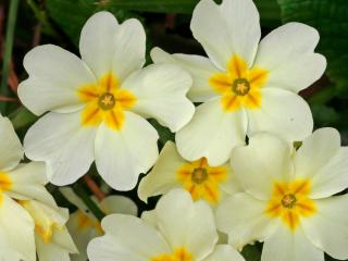Img.VTax2167.Ex1.Img1
