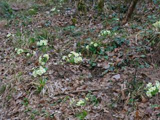 Img.VTax2167.Ex1.Img7