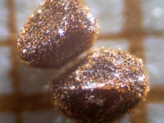 Img.VTax2171.Ex2.Img6