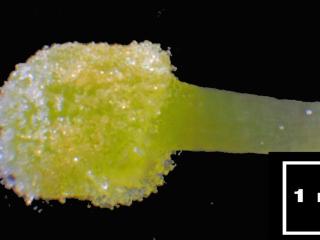 Img.VTax2171.Ex2.Img9