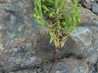 Img.VTax2192.Ex2.Img4