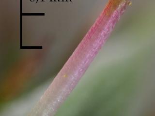 Img.VTax2197.Ex2.Img1