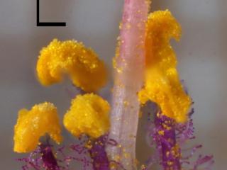 Img.VTax2197.Ex2.Img3