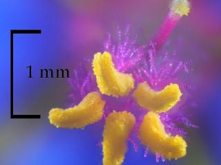 Img.VTax2197.Ex2.Img7