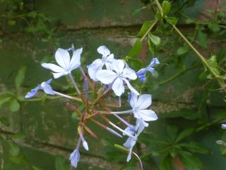Img.VTax2202.Ex1.Img1