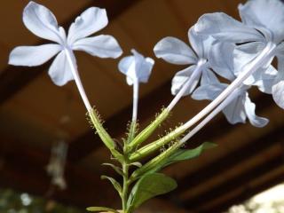 Img.VTax2202.Ex1.Img3