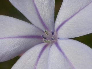 Img.VTax2202.Ex1.Img5