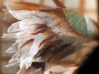 Img.VTax2216.Ex2.Img1