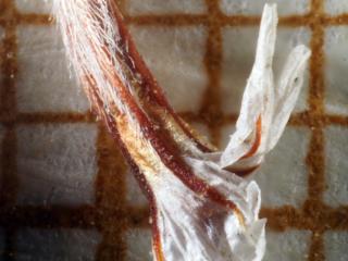 Img.VTax2216.Ex2.Img3