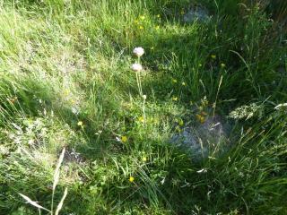 Img.VTax2226.Ex1.Img1