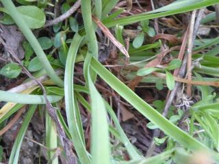 Img.VTax2226.Ex1.Img4