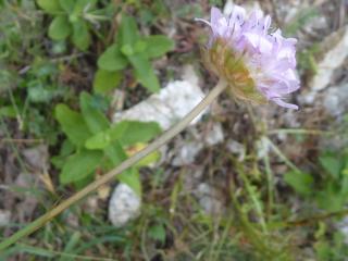 Img.VTax2226.Ex1.Img7