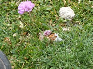 Img.VTax2228.Ex1.Img6