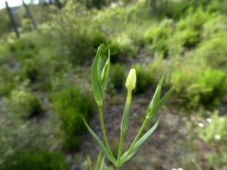 Img.VTax2261.Ex2.Img6