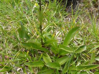 Img.VTax2285.Ex1.Img1