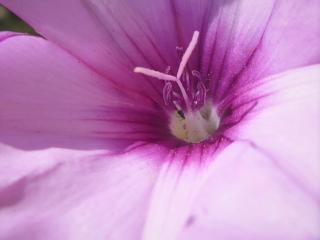 Img.VTax2303.Ex1.Img6