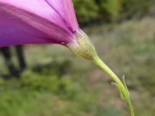 Img.VTax2303.Ex1.Img7