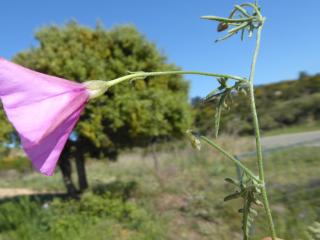 Img.VTax2303.Ex1.Img8