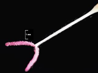 Img.VTax2303.Ex2.Img3
