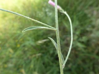 Img.VTax2308.Ex1.Img3