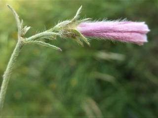 Img.VTax2308.Ex1.Img5