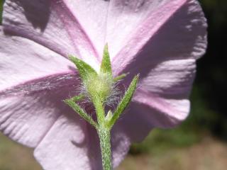 Img.VTax2308.Ex1.Img6