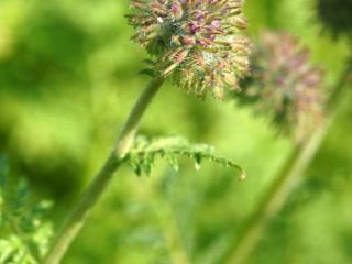 Img.VTax2318.Ex1.Img1